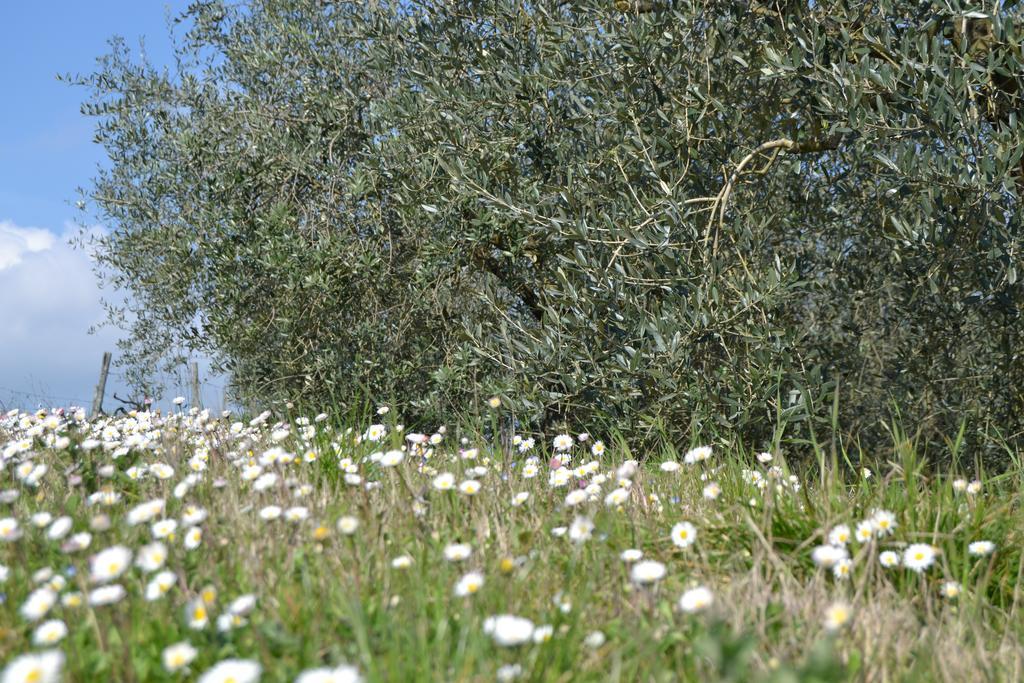Agriturismo La Querce Rignano sullʼArno Dış mekan fotoğraf