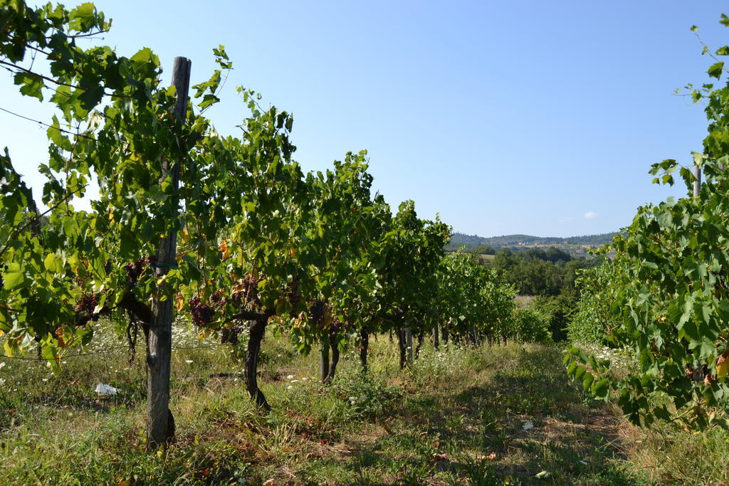 Agriturismo La Querce Rignano sullʼArno Dış mekan fotoğraf