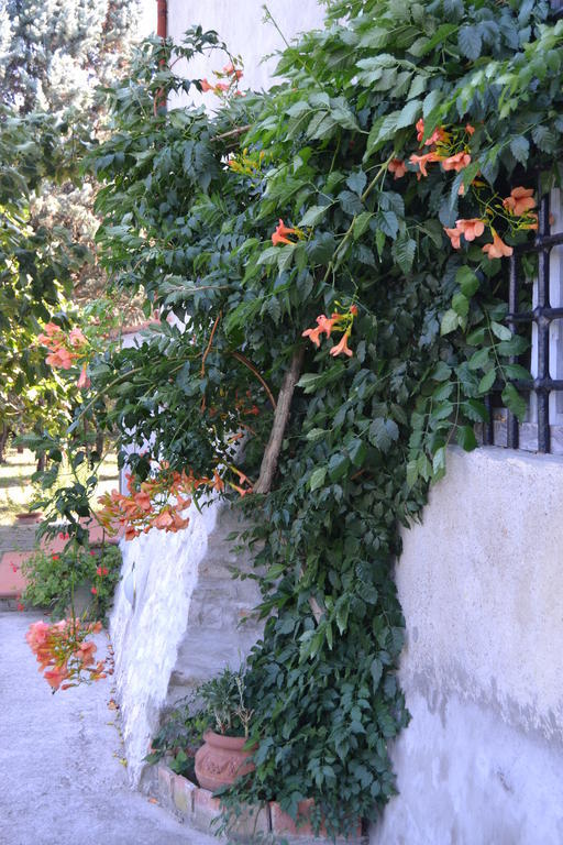Agriturismo La Querce Rignano sullʼArno Dış mekan fotoğraf