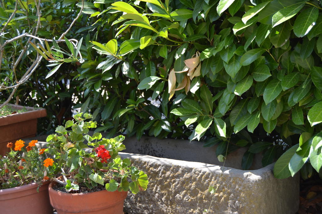 Agriturismo La Querce Rignano sullʼArno Dış mekan fotoğraf