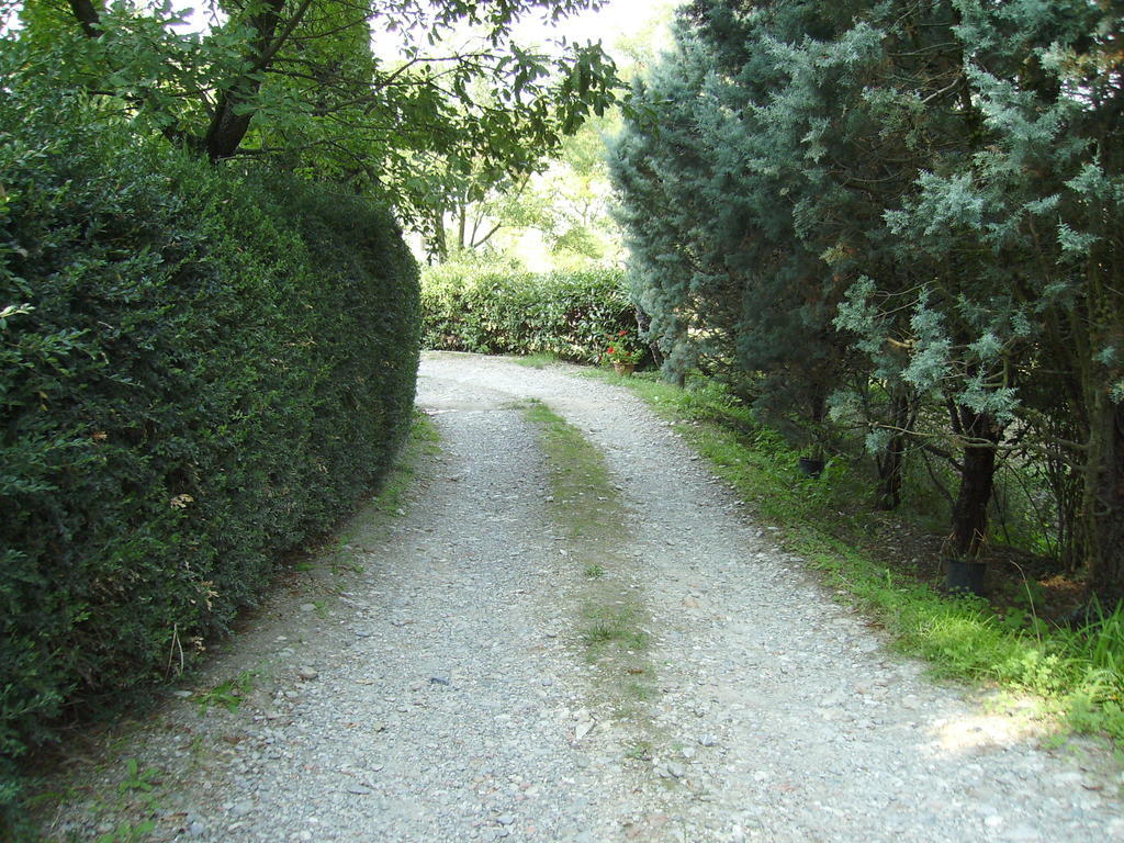 Agriturismo La Querce Rignano sullʼArno Dış mekan fotoğraf