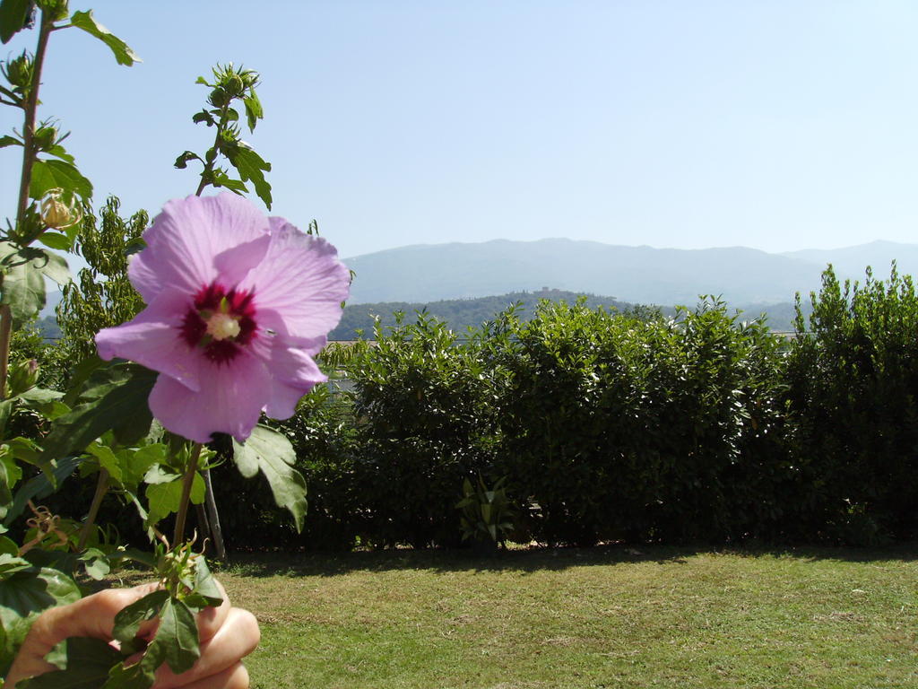 Agriturismo La Querce Rignano sullʼArno Dış mekan fotoğraf